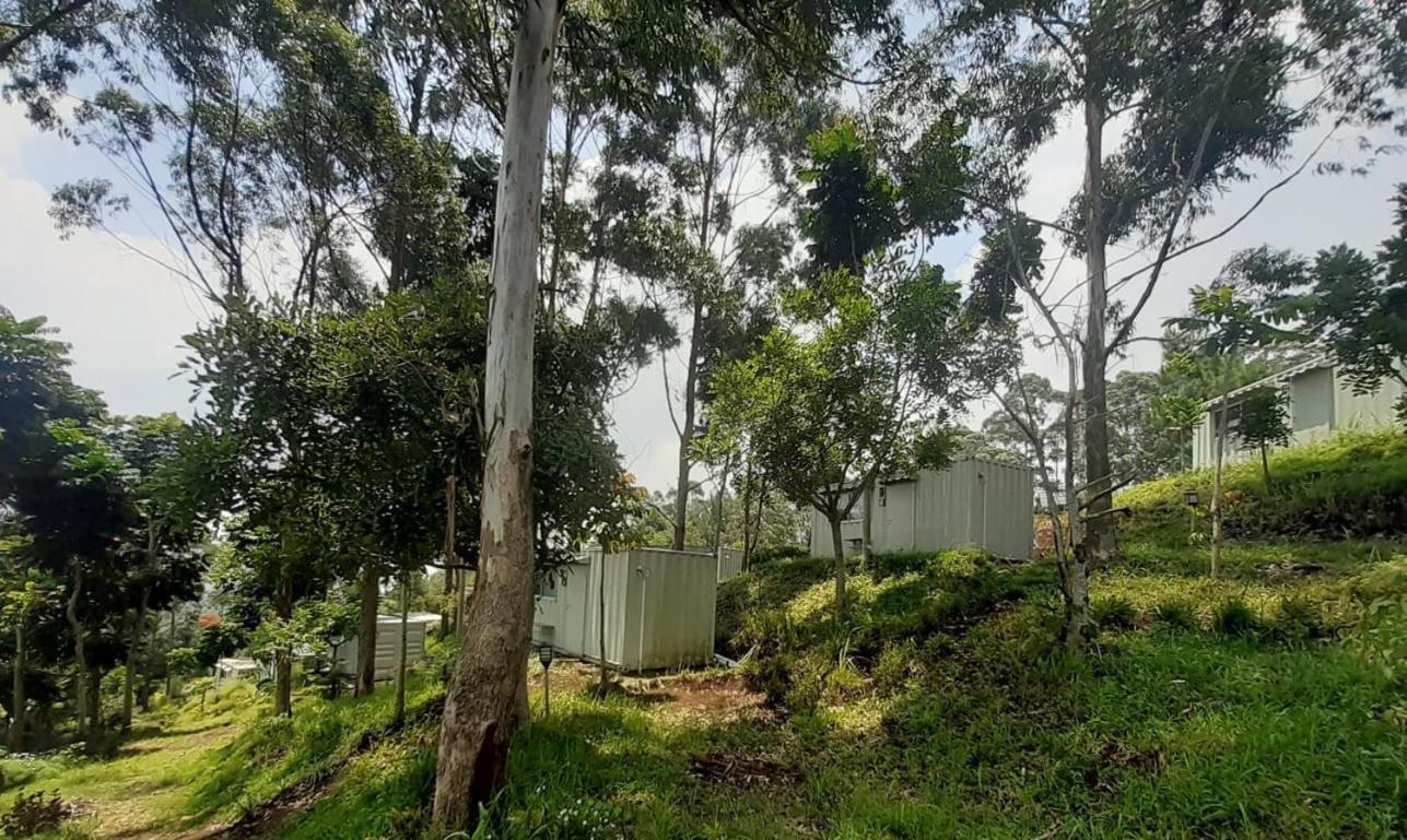 Hotel Bukit Pinus Tegalharendong Exterior foto