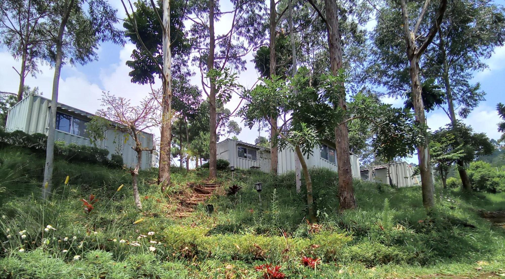 Hotel Bukit Pinus Tegalharendong Exterior foto